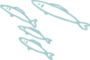 魚群B2