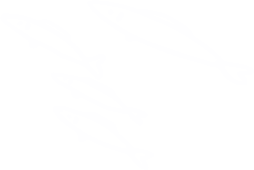 魚群