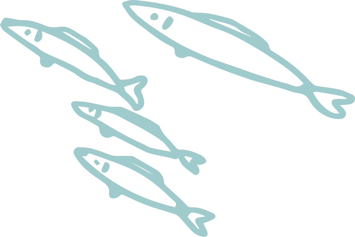 魚群B2